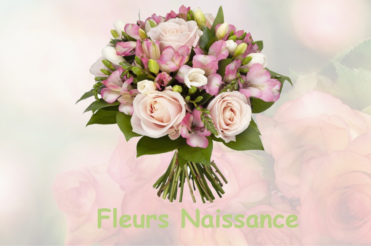 fleurs naissance VASSIEUX-EN-VERCORS